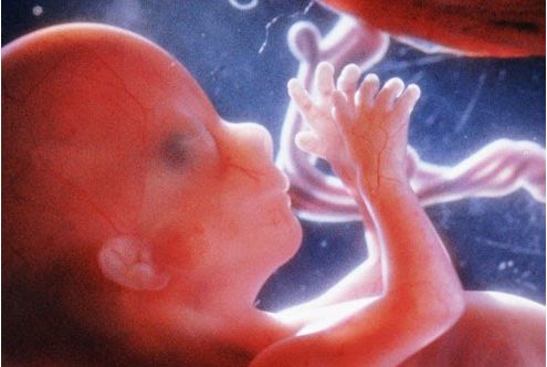 Thủ dâm khi mang thai có ảnh hưởng đến thai nhi không?