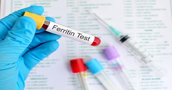 Xét nghiệm ferritin khi mang thai
