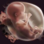 22 tuần: Thời điểm tốt nhất để khảo sát dị tật thai nhi