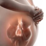 Những nguy cơ của song thai