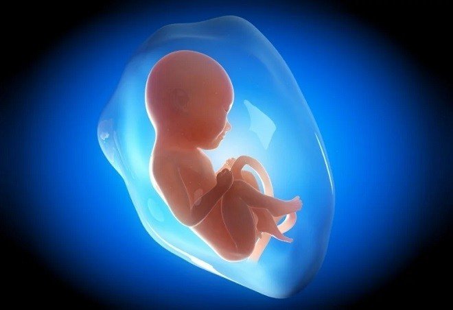 Hành trình 9 tháng 10 ngày trong bụng mẹ của thai nhi