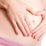 Quá trình phát triển của thai nhi 3 tháng đầu