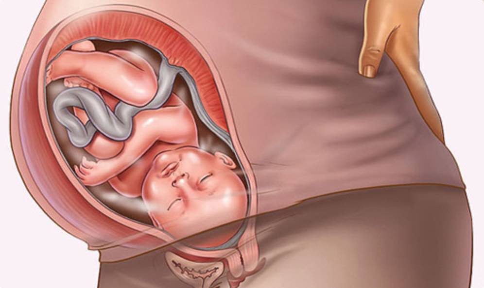 Tại sao phụ nữ mang thai tuần thứ 35 – 36  thường bị viêm âm đạo?