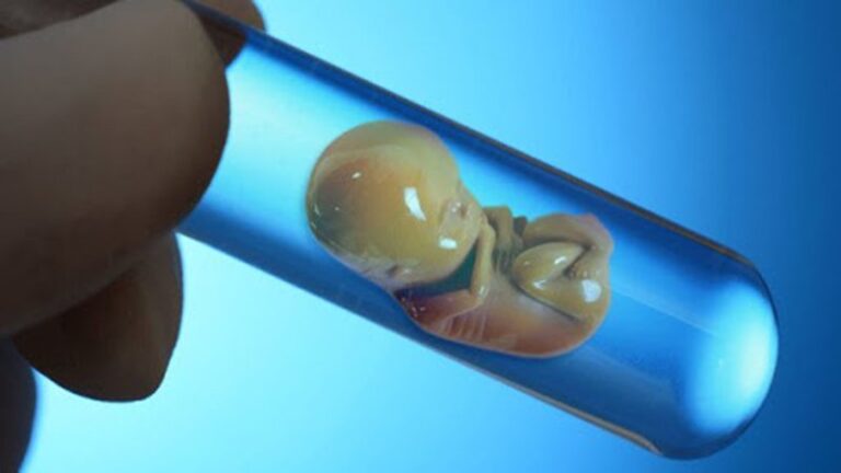 Liệu có thể nuôi con bằng thụ tinh trong ống nghiệm mà không cần mang thai?