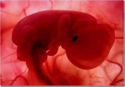 Có tiền sử thai lưu làm thế nào để giữ thai lần tiếp theo?